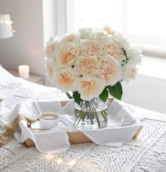 David Austin Eugénie (12 pièces)