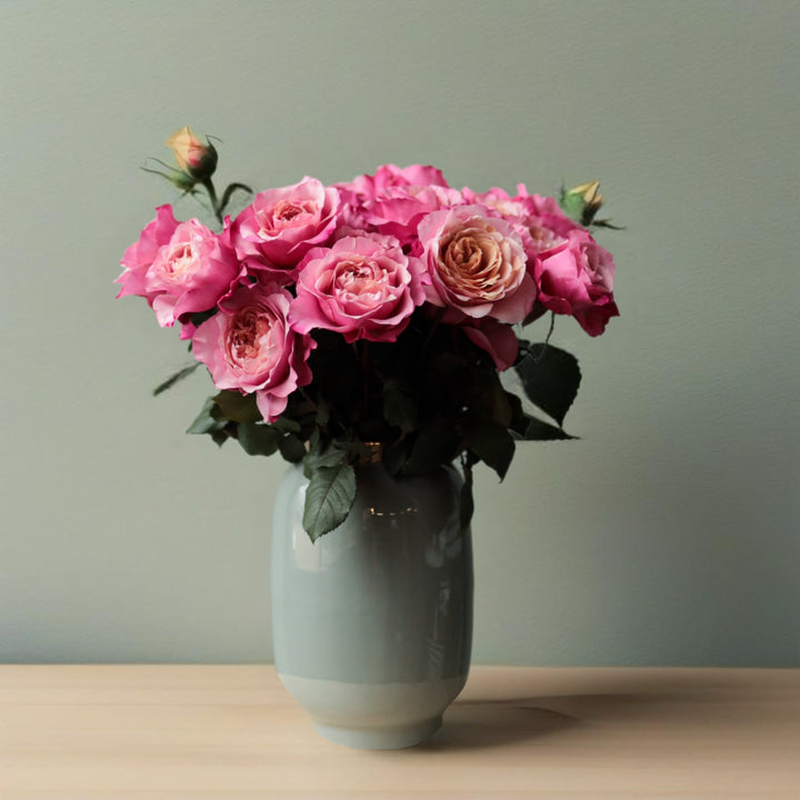 Wabara Miyabi (12 Stück)