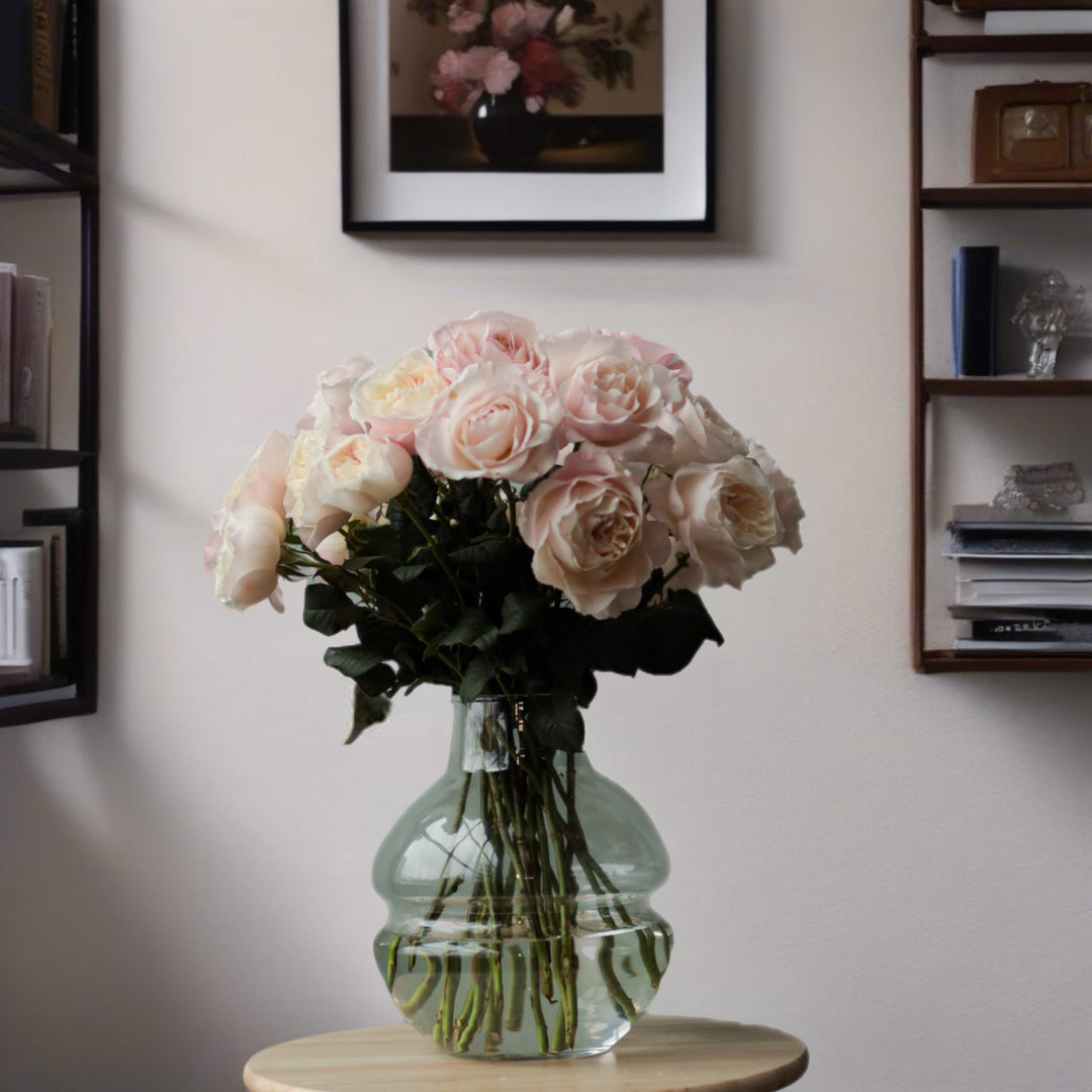 David Austin Keira (12stuks)