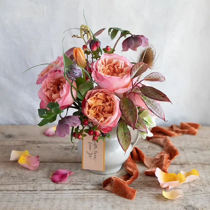 David Austin Edith (12stuks)